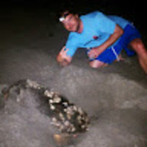 Meet your Posher, Peter